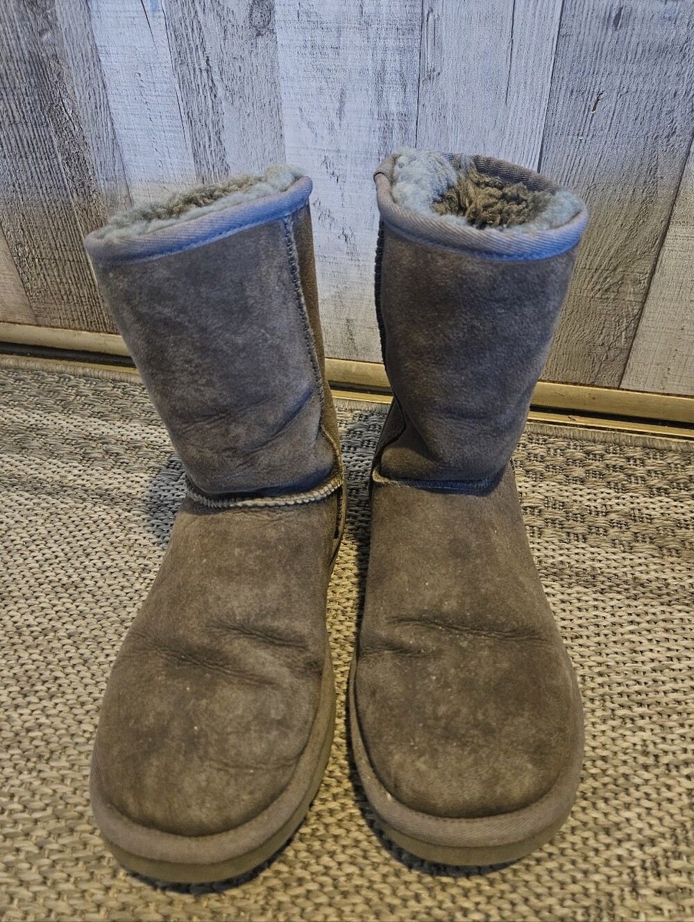 UGG Women's Classic Mini II Winter Boot. Rare, Dried Oregano. 6